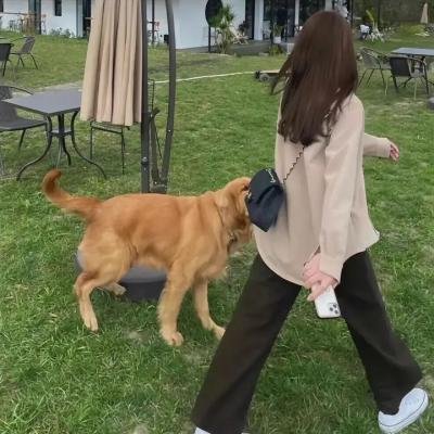 我是处女座2023